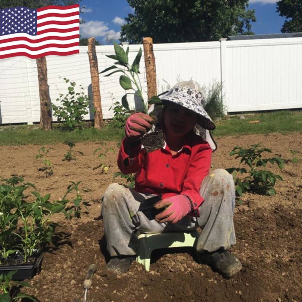 Meet your Posher, Adlemi