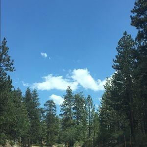 Meet your Posher, Maribel