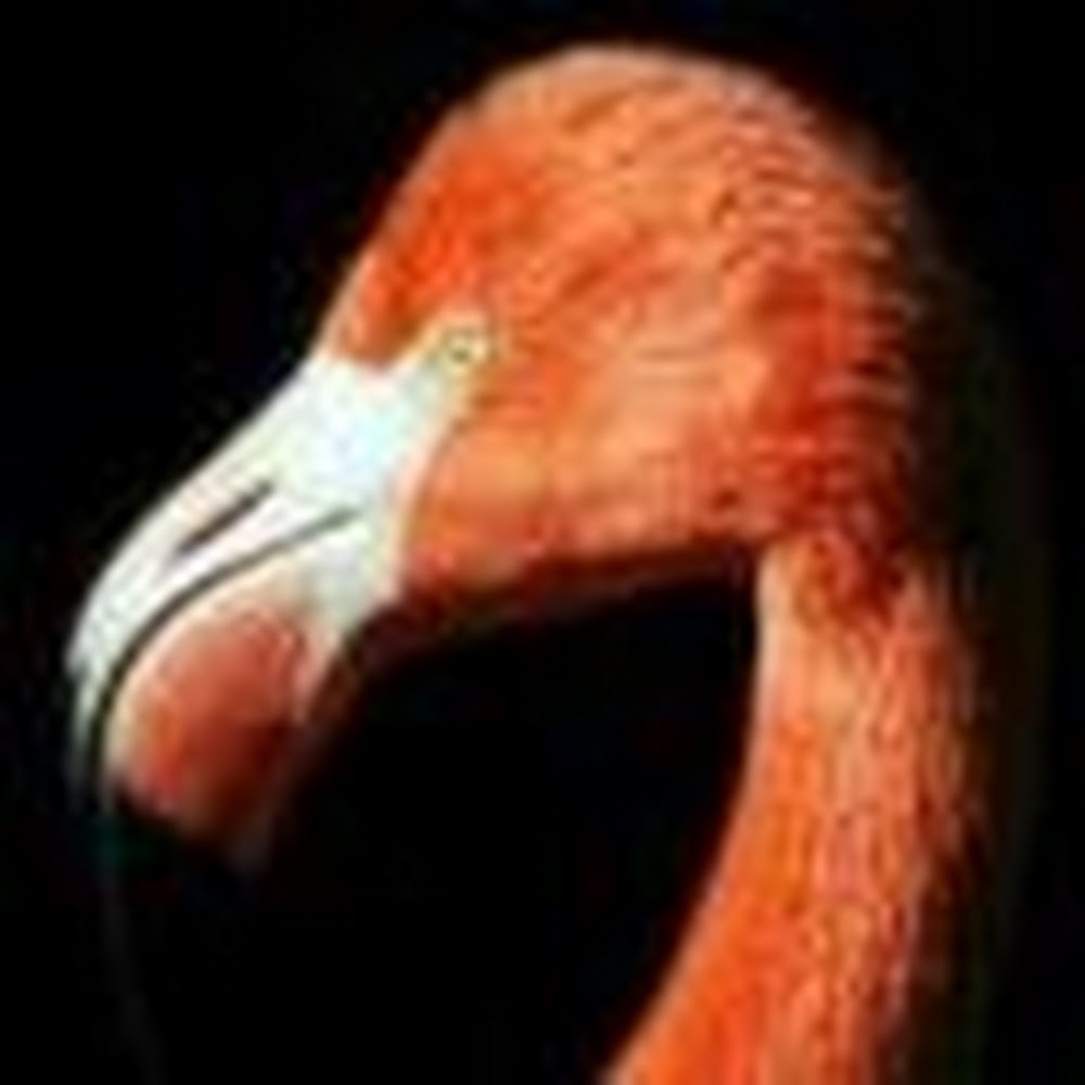 Meet your Posher, Kristine