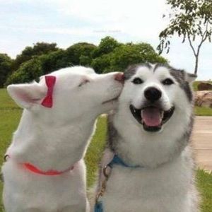 Hope you are having a great day!