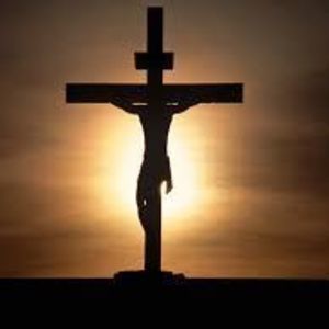 Meet your Posher, Shanna keller