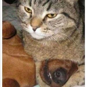 “He Knew too much!”