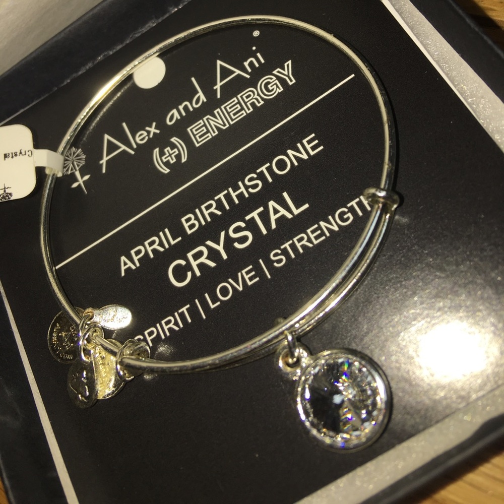 Brand New Alex and Ani Silver Charm Bracelet