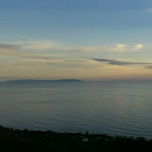 Meet your Posher, Loyal