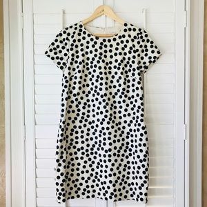 J. Crew Dress