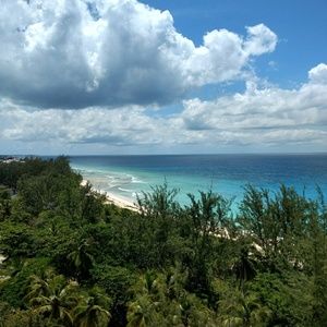 Meet your Posher, Lee