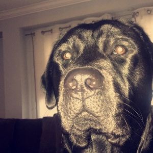 Meet your Posher, Briana