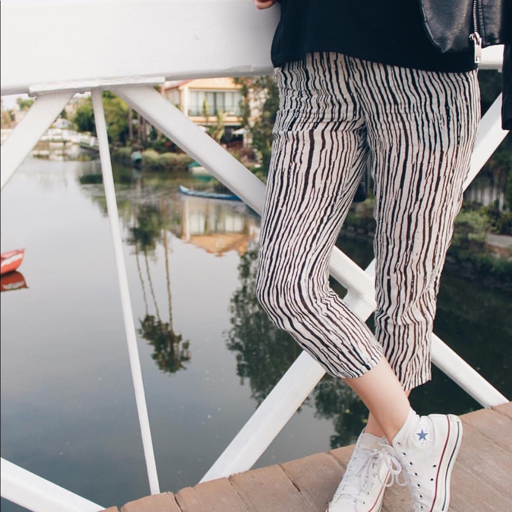 Zebra Pants