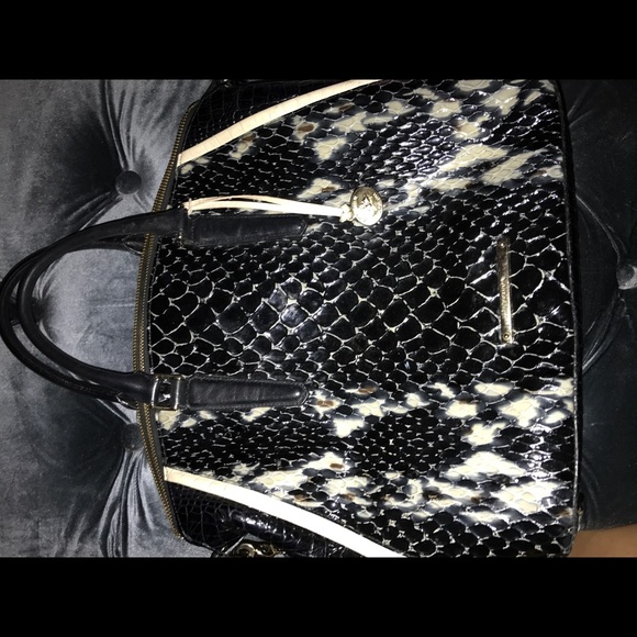 Brahmin 2017 snakeskin - Picture 1 of 3