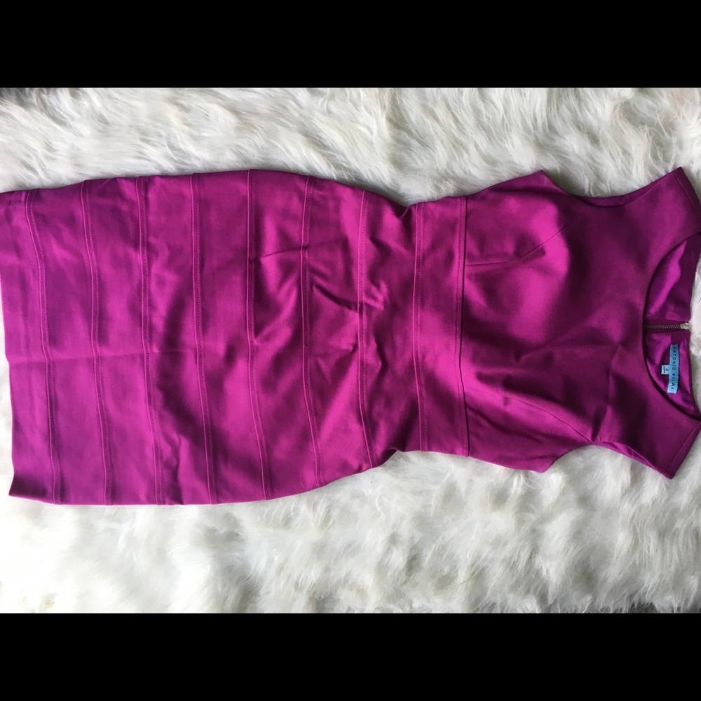 Antonio Melani Dress