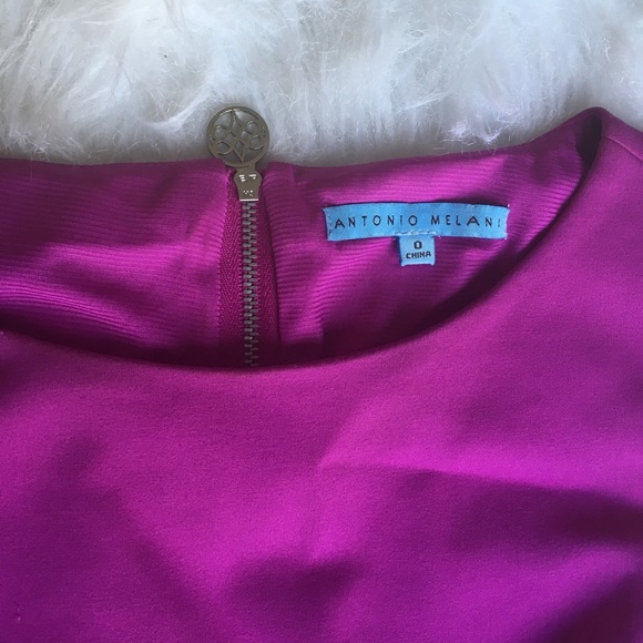 Antonio Melani Dress - Picture 2 of 5