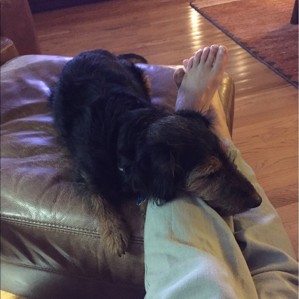 Meet your Posher, Paige