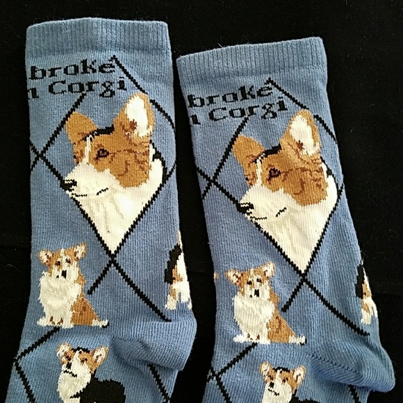 🎉NEW PEMBROKE WELSH CORGI dog socks - Picture 6 of 7
