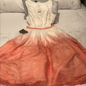 Bebe ombré dress