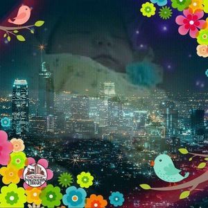 Meet your Posher, Rita