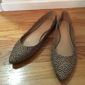 Brand new never worn leopard print flats