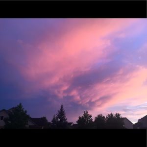 Meet your Posher, Ryder