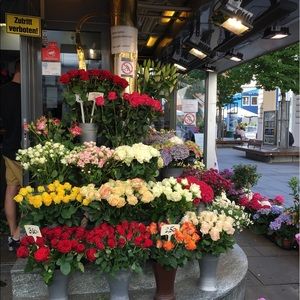 Meet your Posher, Grace