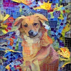 Meet your Posher, Shari