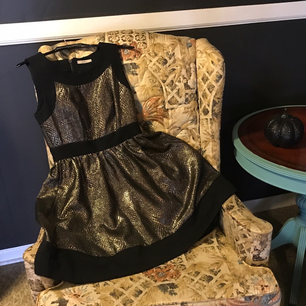 Darling Clothing Sparkly Holiday Dress