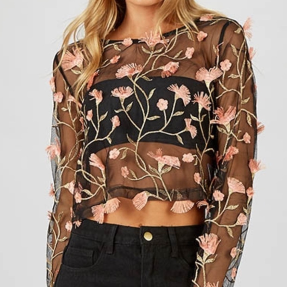 Peppermayo Sheer Embroidery Top