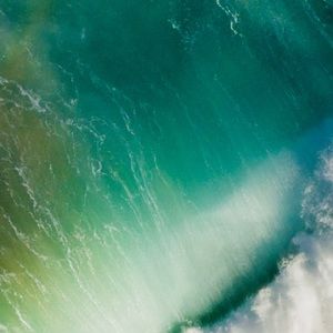 Meet your Posher, Phillip