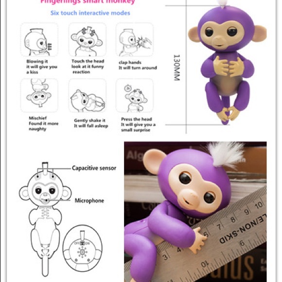 Fingerling monkey - Picture 4 of 4