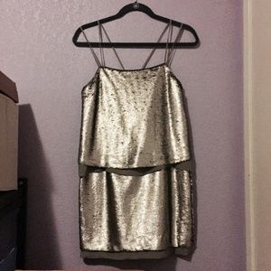 Banana Republic Silver Sequin Party Dress