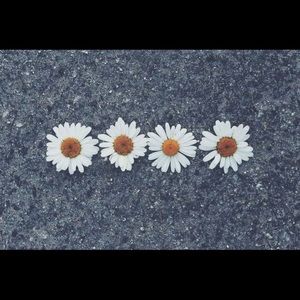 Meet your Posher, Kaneka