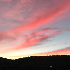 Meet your Posher, Ariel