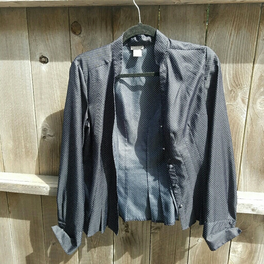 Ann Taylor Dressy Button Up Blouse