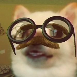 Meet your Posher, Kaley