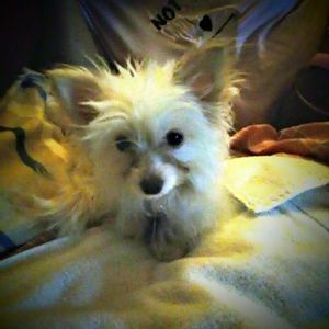 Meet your Posher, Tyrese