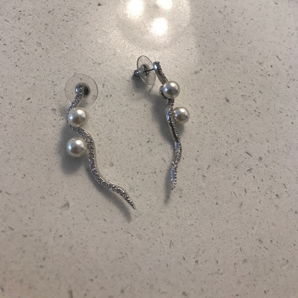 Beautiful Statement Earrings - image 1