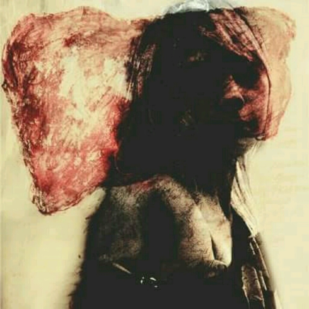 Meet your Posher, Cheryl