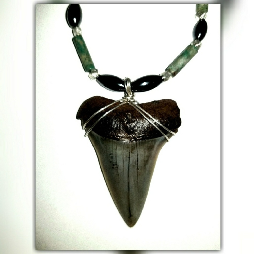 °•°•Shark Tooth Necklace•°•°