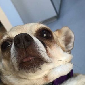 Meet your Posher, Stephen