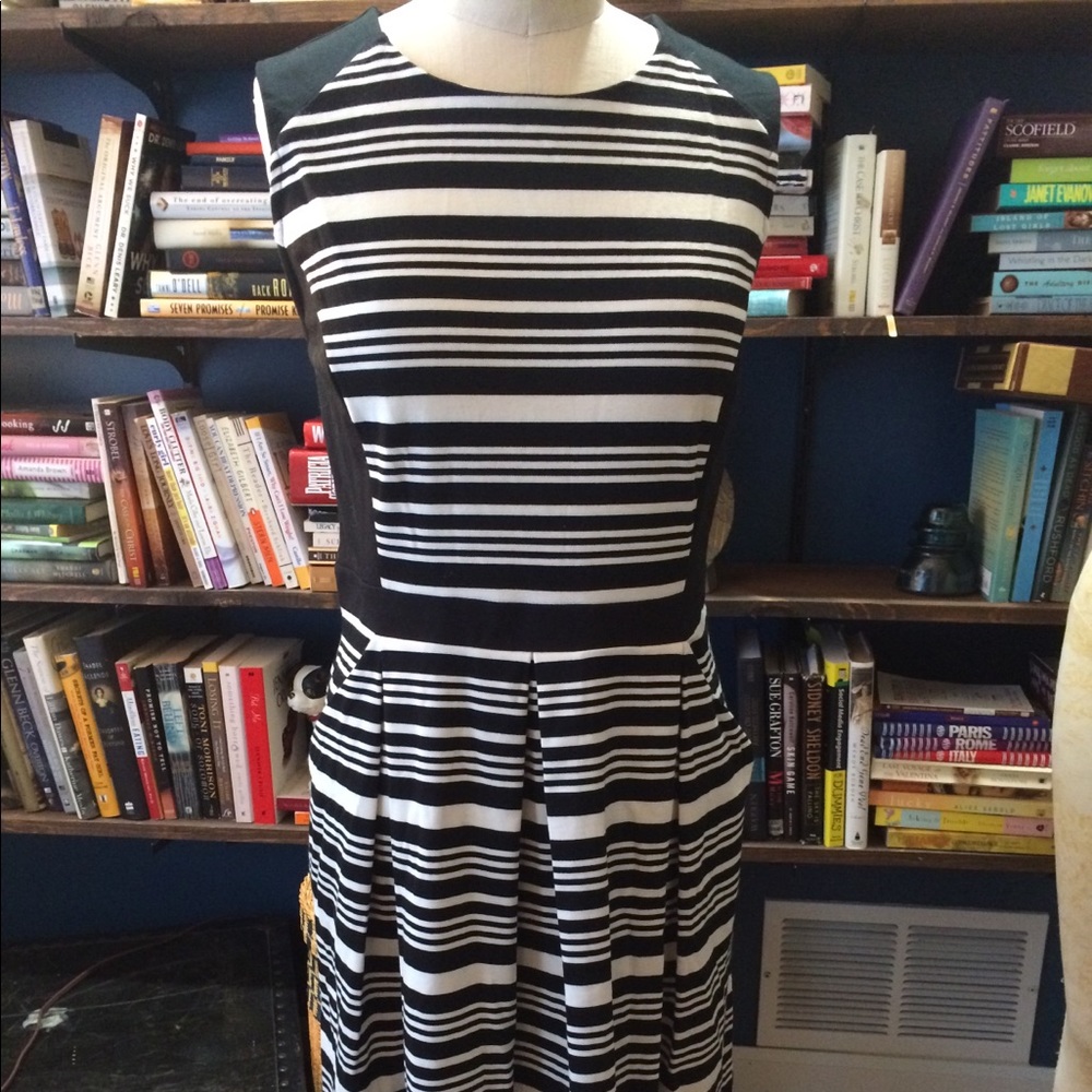 Loft Black White Stripe Dress