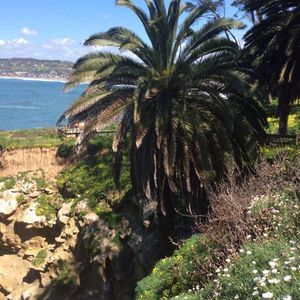 Meet your Posher, Antron