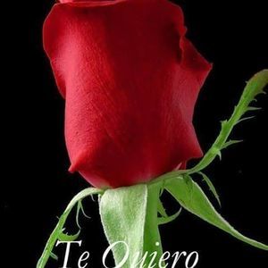 Meet your Posher, Perla