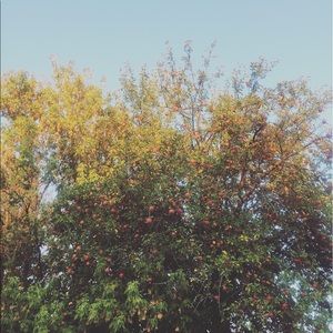 Meet your Posher, Magda