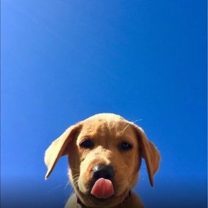 Meet your Posher, Liza