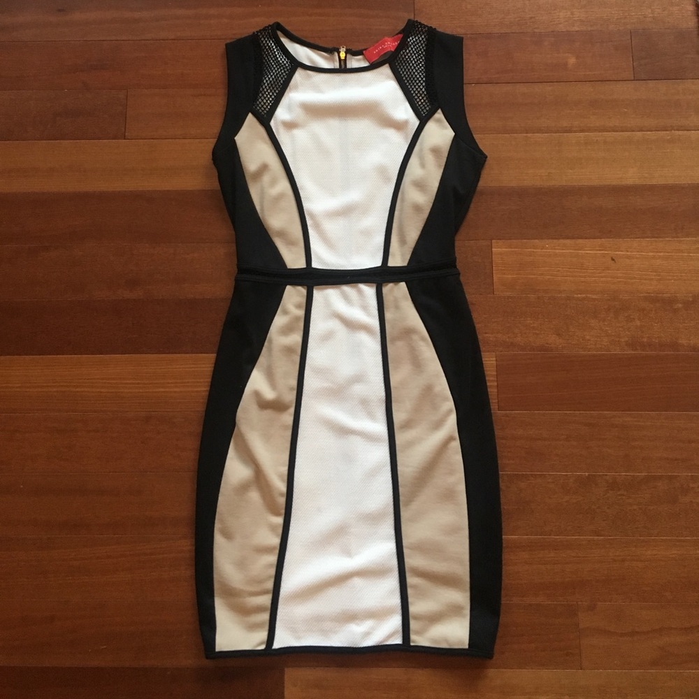 Akira formfitting dress