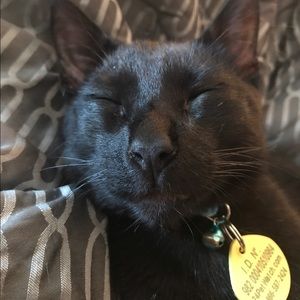 Meet your Posher, Cecilia