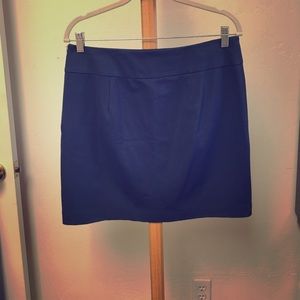 Banana Republic Navy Skirt
