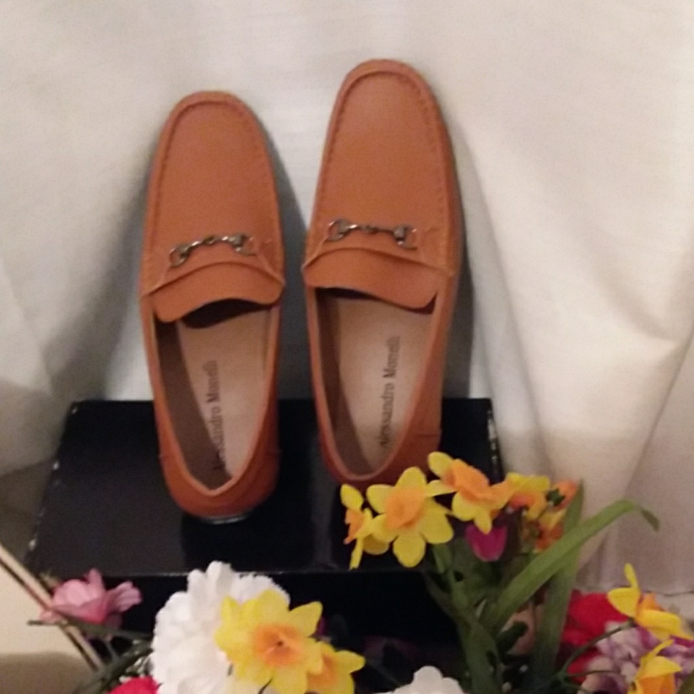ADORABLE Alessandro MOnelli Men SHOE NWOT