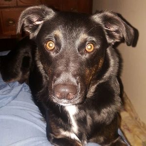 Meet your Posher, Jane