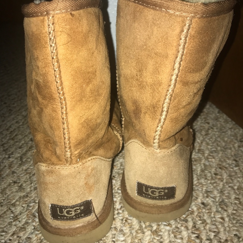 Chestnut Ugg Boots