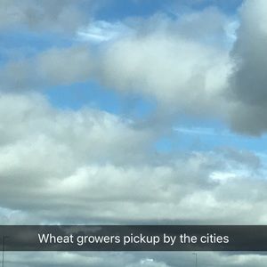 Meet your Posher, Jordan