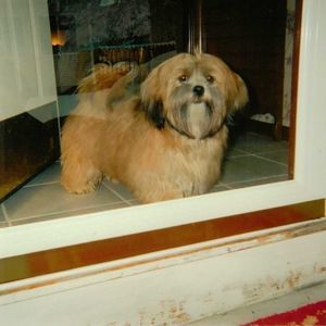 Meet your Posher, Maryann